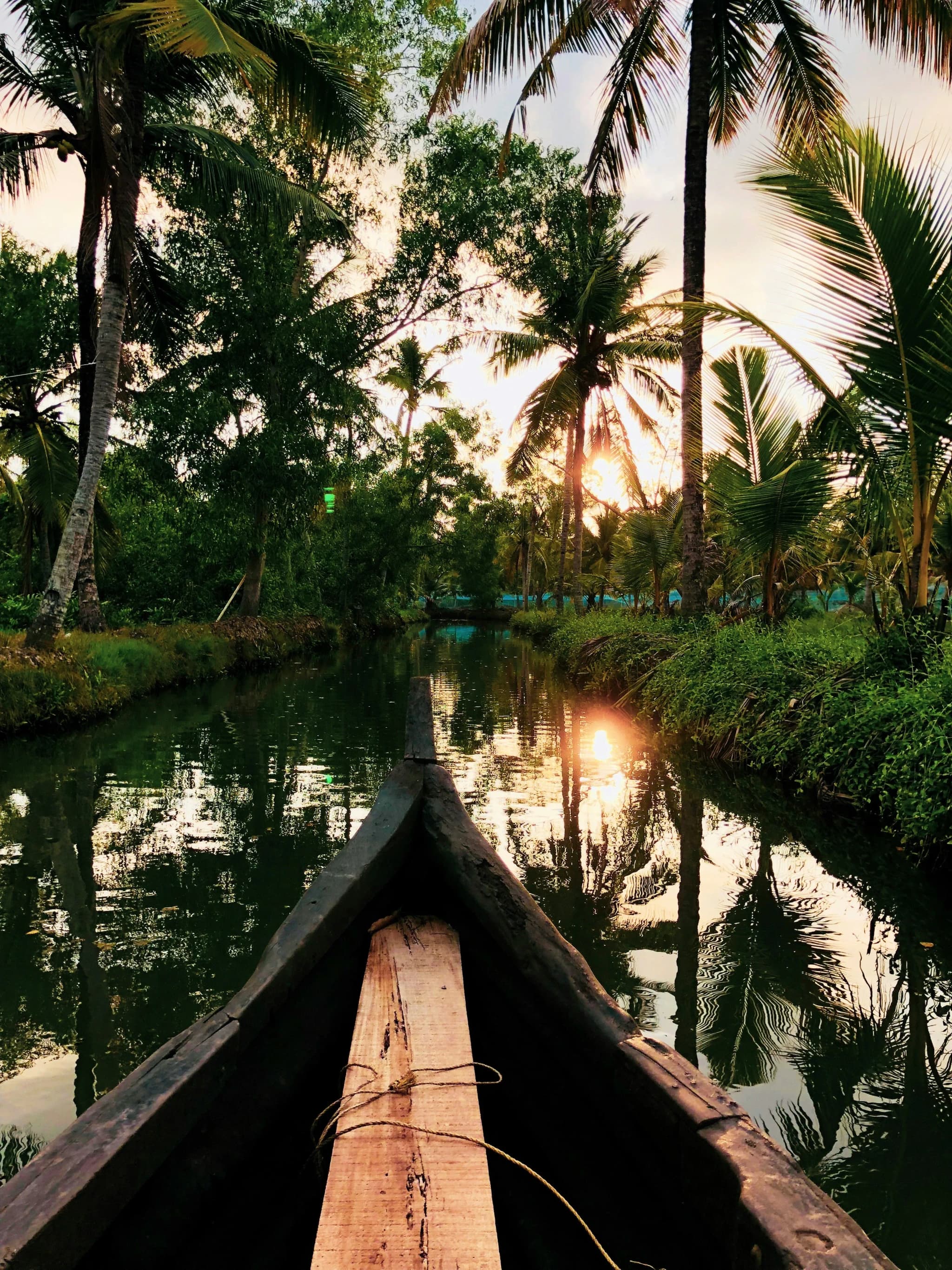 Kerala in 5 Days: Best Places to Visit and Simple Itinerary — MTG Travels blog