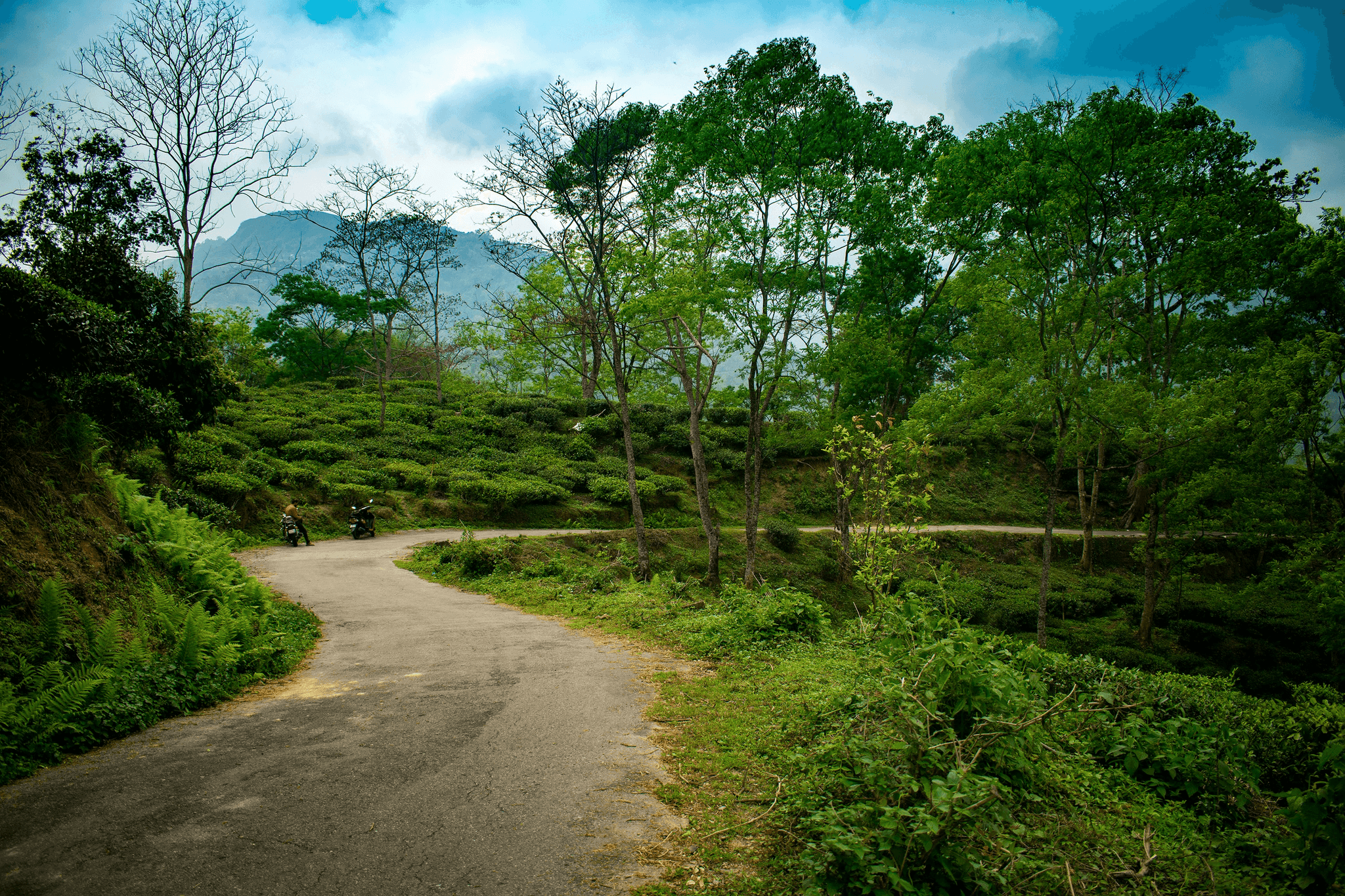 Sittong & Dawaipani — NORTH BENGAL tour package