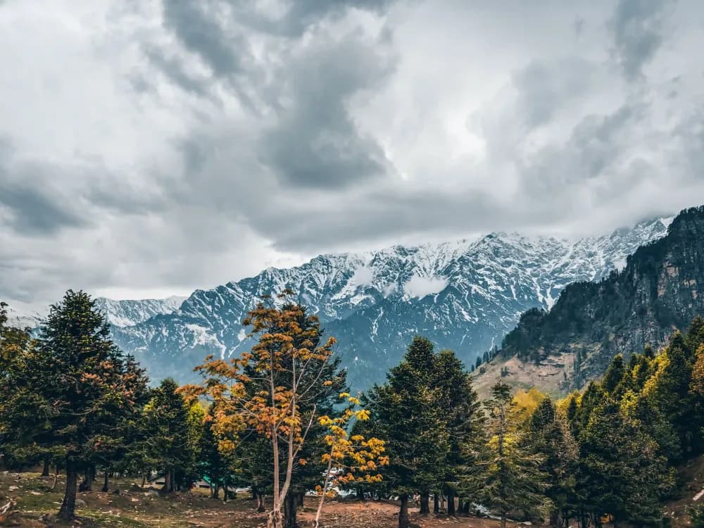 Himachal