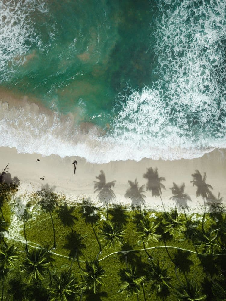 Andaman (6N-7D) — ANDAMAN tour package