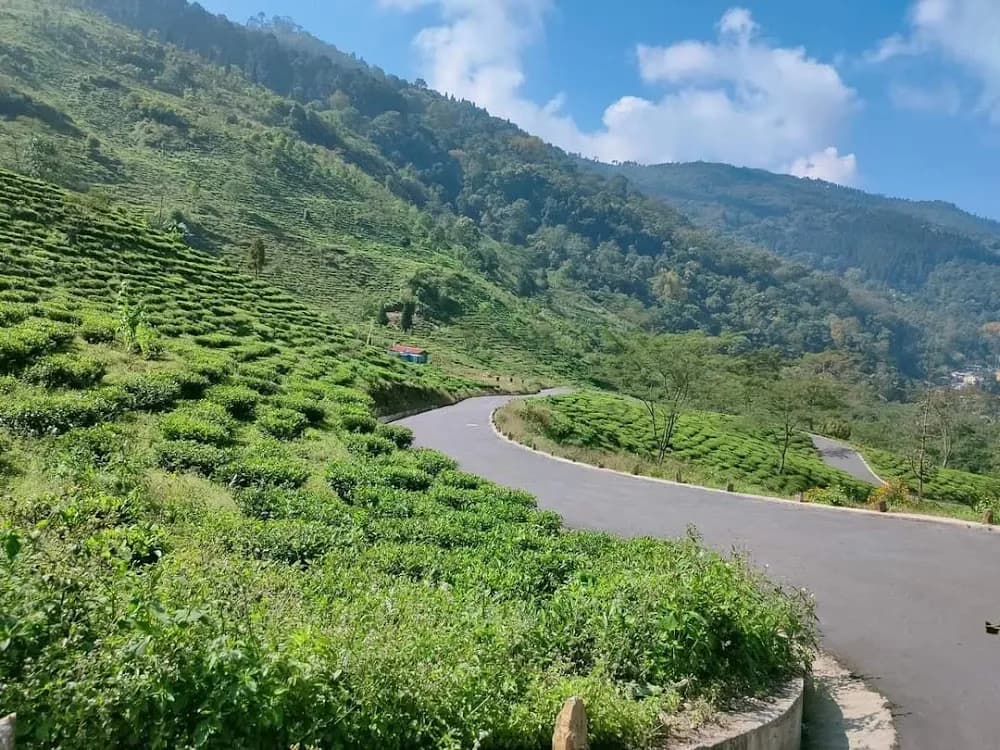 Sittong – Tinchuley – Mim — NORTH BENGAL tour package