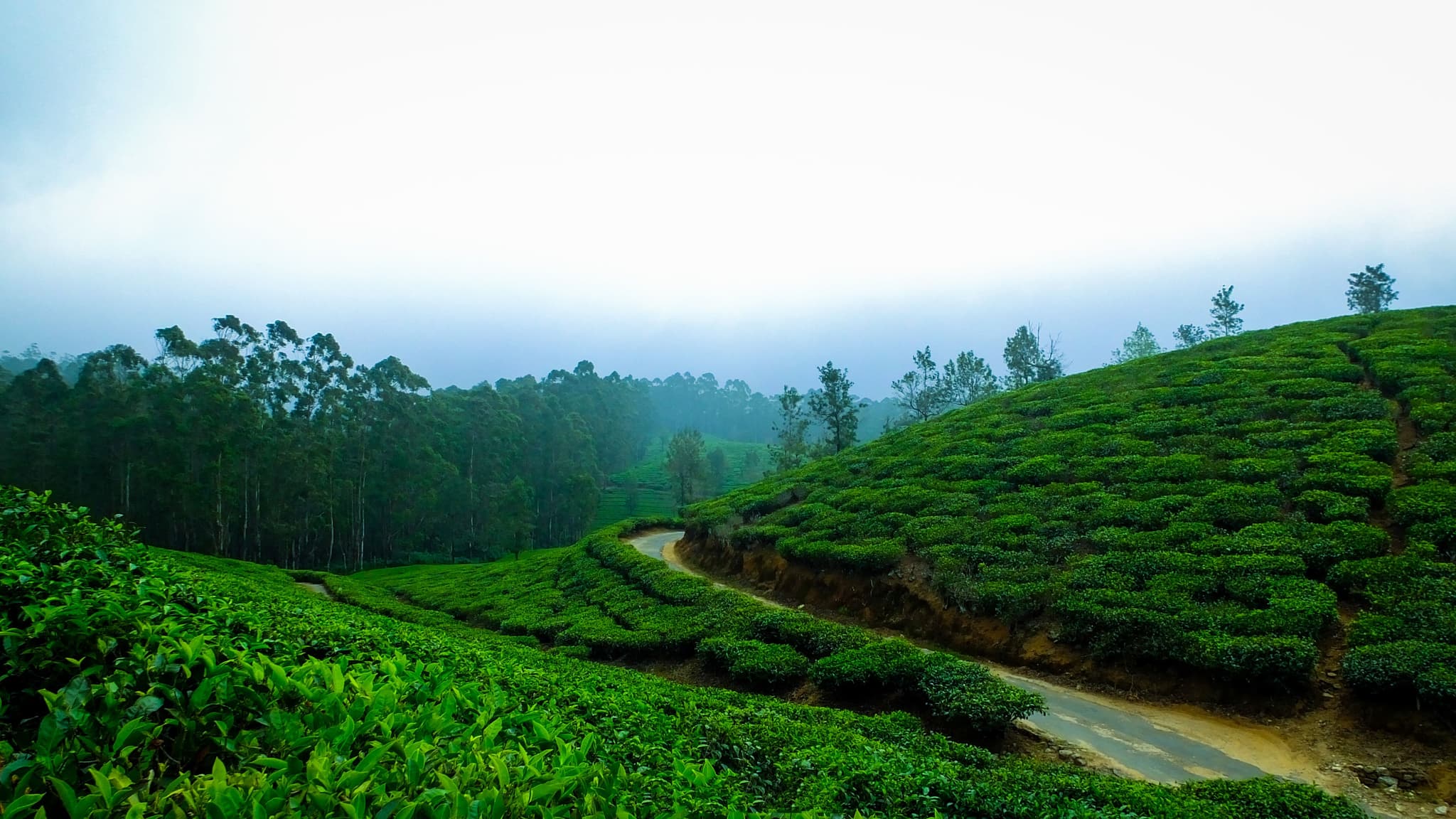 Ooty Coonoor Trip: Complete Itinerary, Places to Visit & Travel Guide — MTG Travels blog