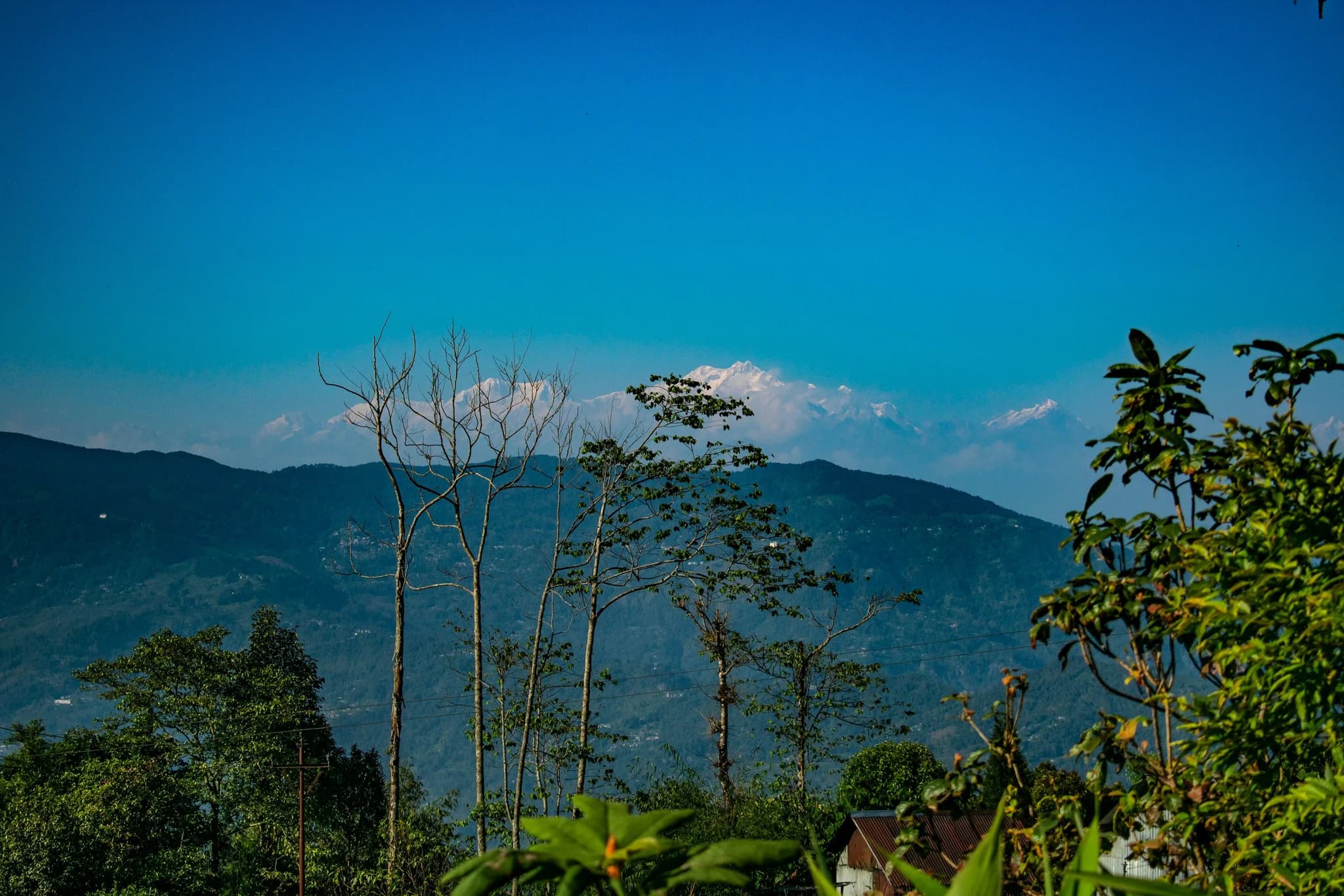 SITTONG & DARJEELING TOUR — NORTH BENGAL tour package