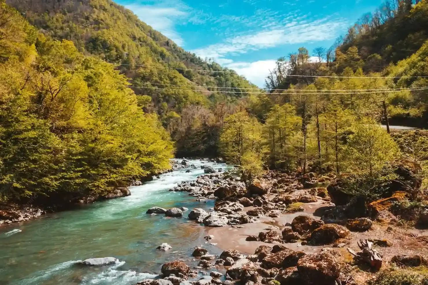 himachal pradesh