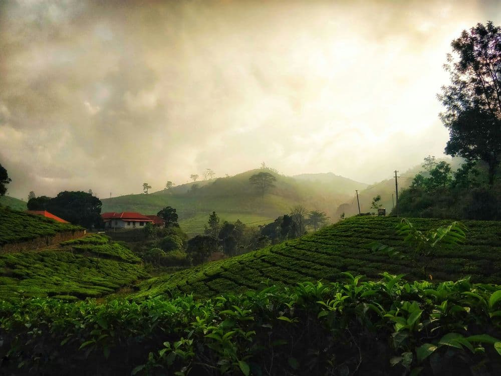PUJA SPECIAL KERALA GROUP TOUR 2026 — SOUTH INDIA tour package