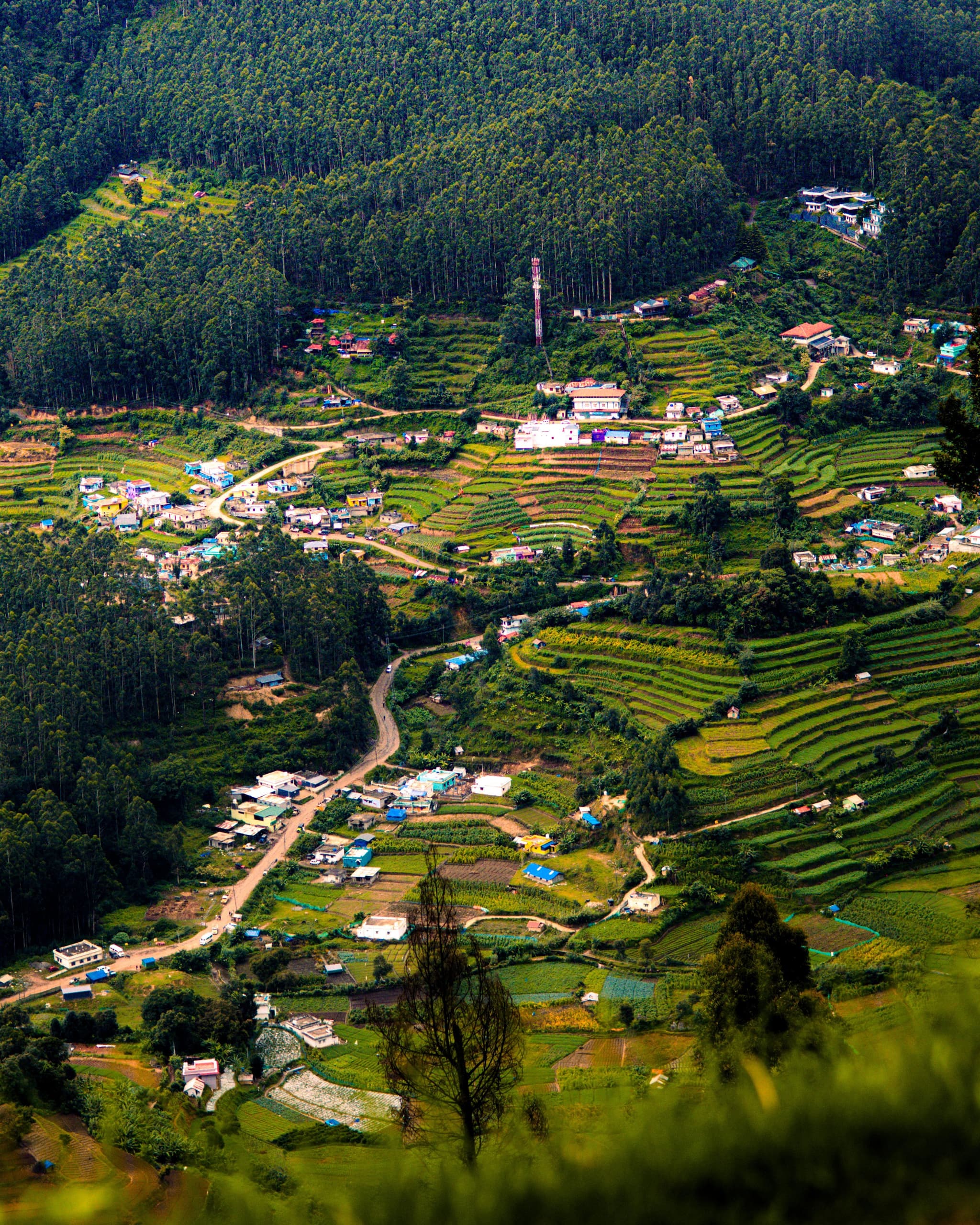 SOUTH INDIA tour packages from Kolkata