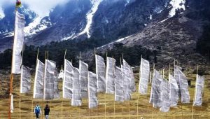 WhatsApp Image 2022 12 10 at 12.39.40