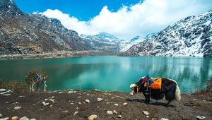 istockphoto 620960858 612x612 1