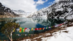 shutterstock 219688855