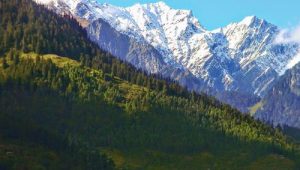 Tips for Planning Your Perfect Himachal Pradesh Tour Package3 min