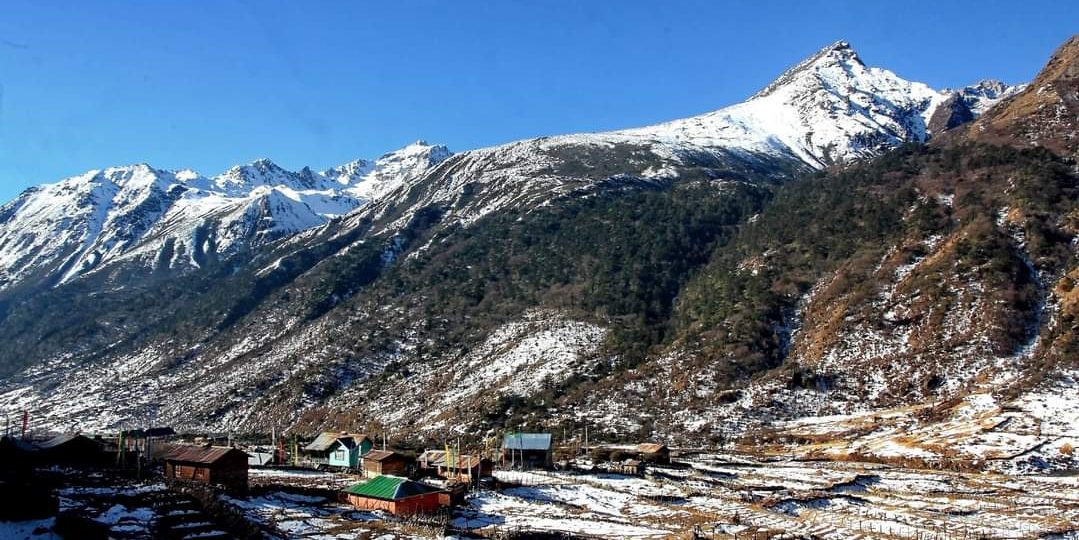 WhatsApp Image 2022 12 10 at 12.29.10