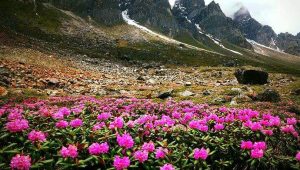 WhatsApp Image 2022 12 10 at 12.39.40 1