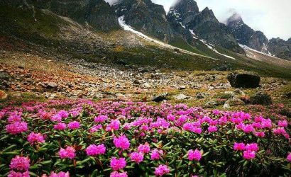 WhatsApp Image 2022 12 10 at 12.39.40 1