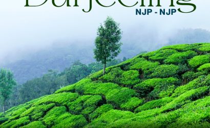 monsoon in darjeeling