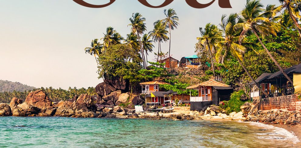 Trips 1 goa 28th july copy
