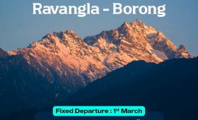 WhatsApp Image 2026 01 03 at 2.23.36 PM