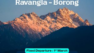 WhatsApp Image 2026 01 03 at 2.23.36 PM