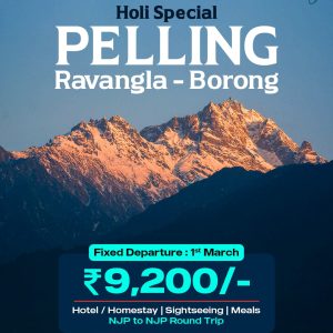 WhatsApp Image 2026 01 03 at 2.23.36 PM