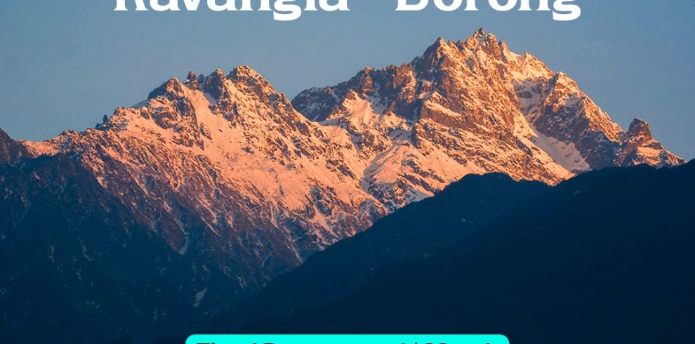 WhatsApp Image 2026 01 03 at 2.23.36 PM