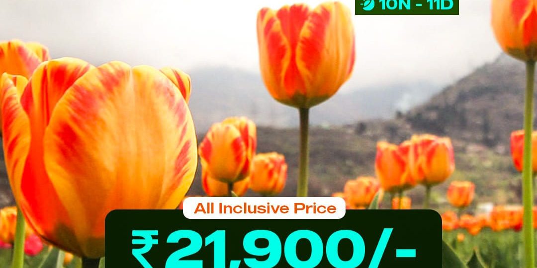 WhatsApp Image 2026 01 03 at 2.23.49 PM