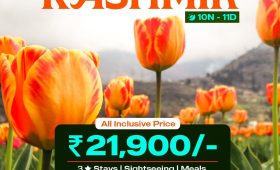 WhatsApp Image 2026 01 03 at 2.23.49 PM