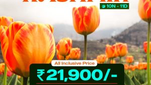 WhatsApp Image 2026 01 03 at 2.23.49 PM