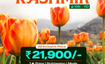 WhatsApp Image 2026 01 03 at 2.23.49 PM