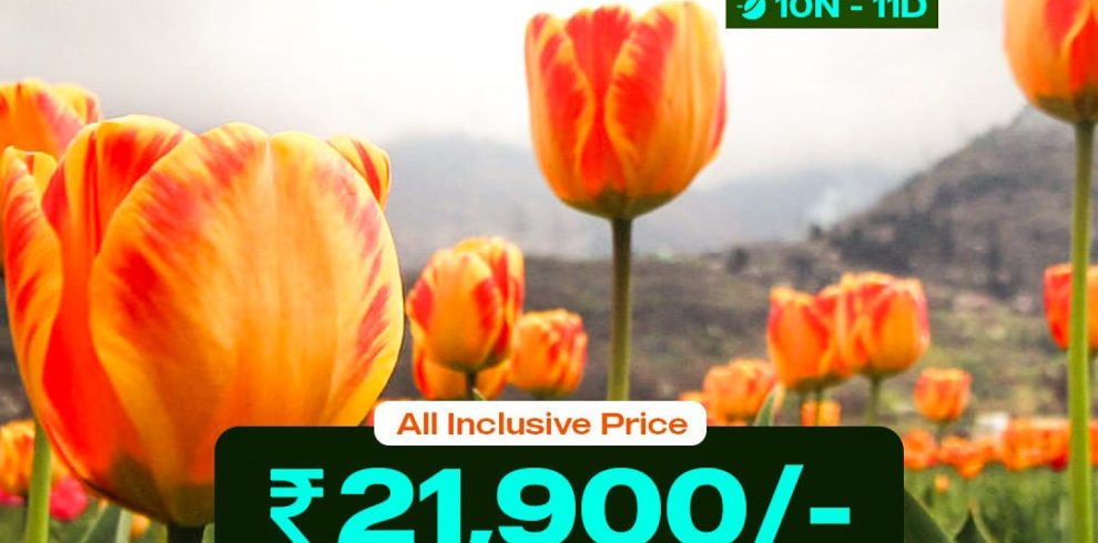 WhatsApp Image 2026 01 03 at 2.23.49 PM